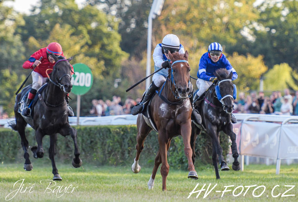DSC_3122 kopie.jpg